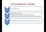 3 Pound Reporting Process 