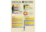 2012-esque Medical Record