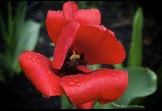 Beauty of Nature