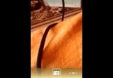 Liview Pro - Gif camera