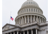 Why do we need Direct Democracy?