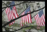 Visting Washington, DC: Students Today, Voters Tomorrow 