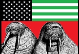 The American Walrus Party 