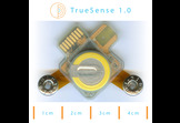 FlexLive Monitor System with the TrueSense DIY Kit