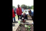 Jack Kingston and Foster Grandparent at a Community Garden