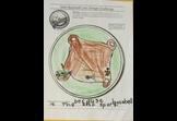 Best Sport by Saja 1st grade