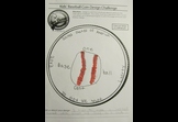 Baseball Coin by Courtney 4th grade