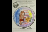 Awesome Baseball by Miracle 1st grade