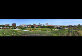 Economic Opportunity - VISTA, Growing Jobs- One Seed + One Individual = Opportunity
