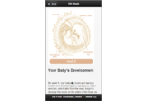 Pregnancy Guide