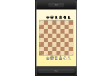 Manual Chess