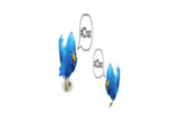 easy chatter 