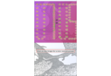 AnimatedClock