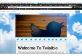 Twisible