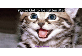youvegottobekittenme.com