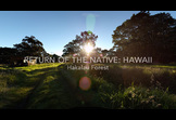 Return of the Native: Hawaii