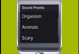 Sound Pranks
