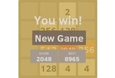 Motion 2048