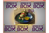Catering Out The Box. Advanced Marketing Solutions