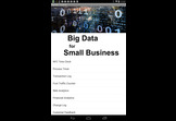 Big Data for Small Business