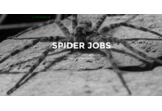 Spyder Job Search