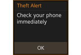 Theft Alert