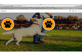 Petwork