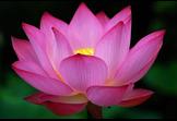 test2