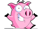 Picture of a Pig