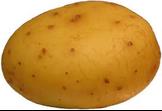 Potato
