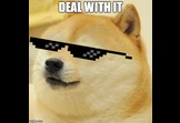 Doge Dodge (Beginner)