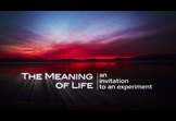 MEANING OF LIFE EXPERIMENT