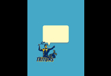 TritonChat