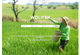 WoLifeX - World Life Experience