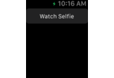 Live Feed