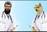 You can't DOGE this