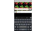 Cranberry