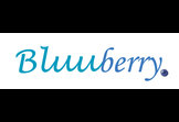 Bluuberry