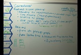 Stanford Major Planner