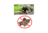 Slothy