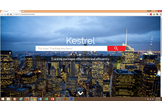 Kestrel