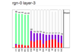 Seeing inside HTM algorithms