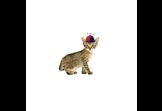 PropellerPet