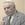 Richard Bowman PhD