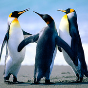 E X