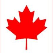 Ryan McNeely's avatar