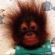 Jack Tam's avatar