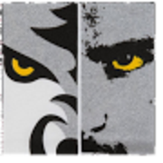 Man Hooshmand's avatar