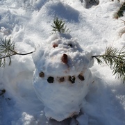 Mike Martin's avatar