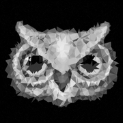 Yoann ALVES's avatar